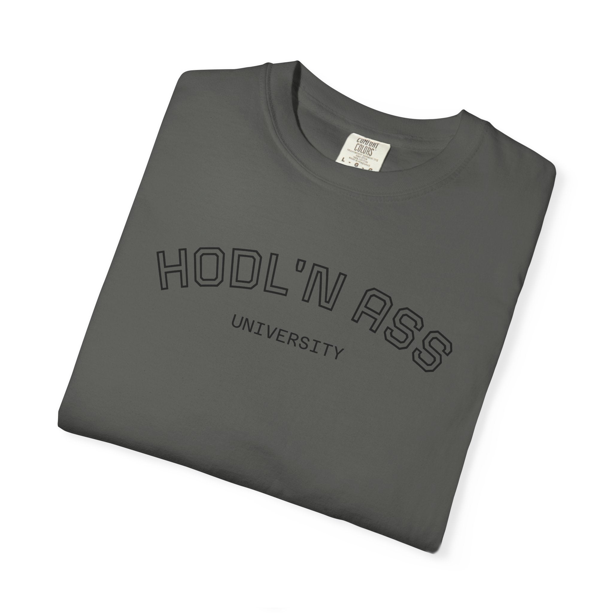 "HODL'N Ass" University BITCOIN Graphic T-Shirt — Vintage Collegiate Tee | Crypto Gift