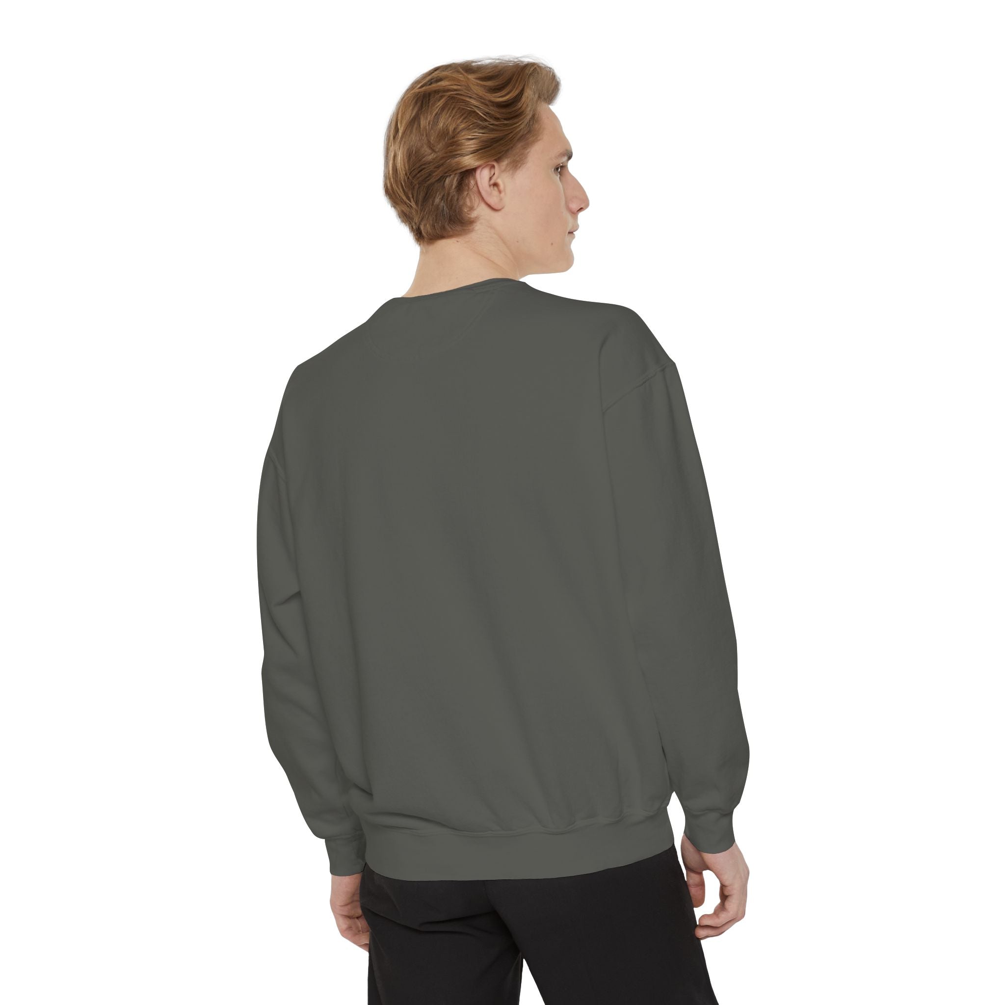 Bitcoin/CypherHornet - Bold Logo Graphic Sweatshirt — Super High Quality Comfort Color Crewneck | Crypto Gift 46