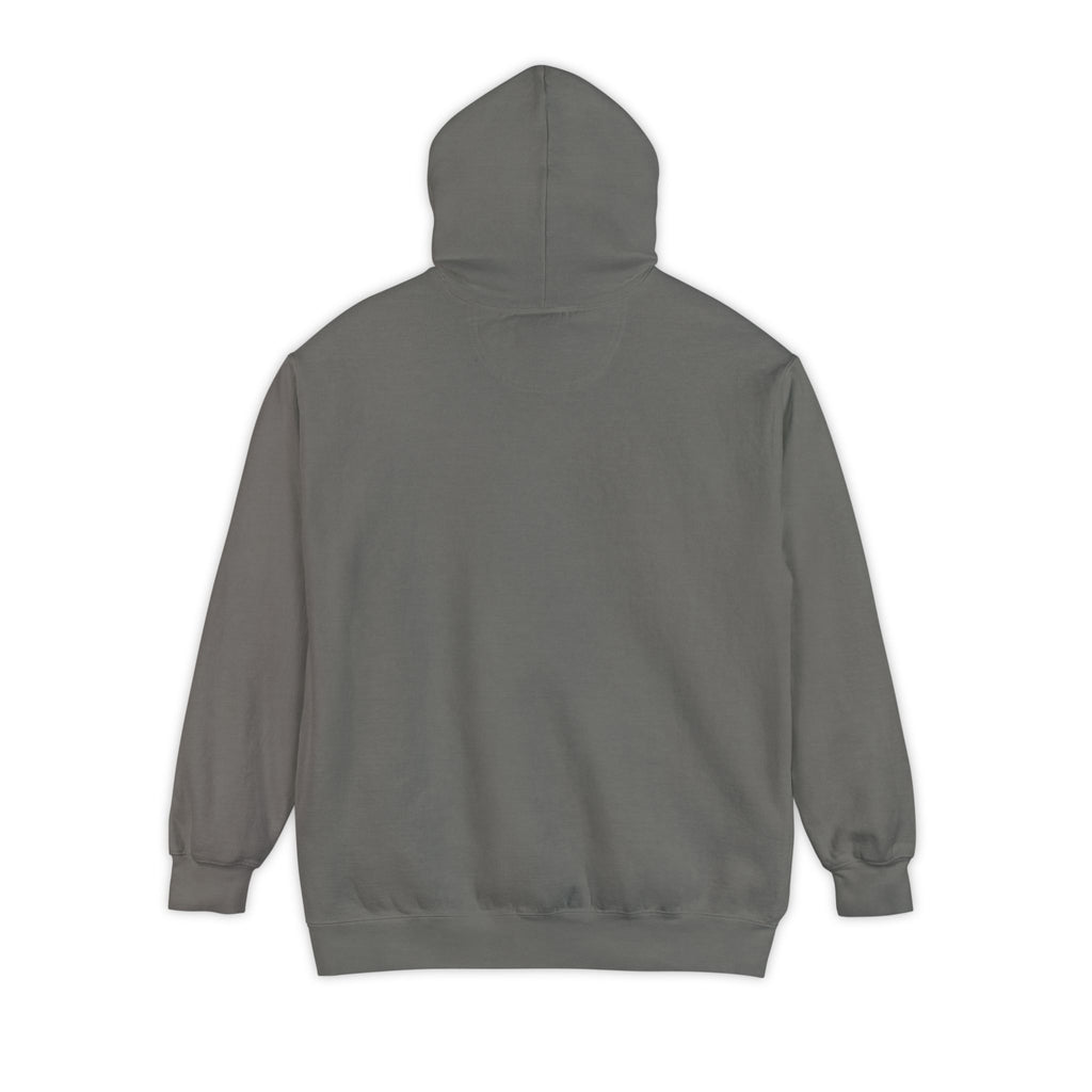 "HODL HODL . BTC University ." High Quaiity Comfort Colors Hoodie - Vintage Collegiate Garment- Dyed Pullover | Crypto Gift 53