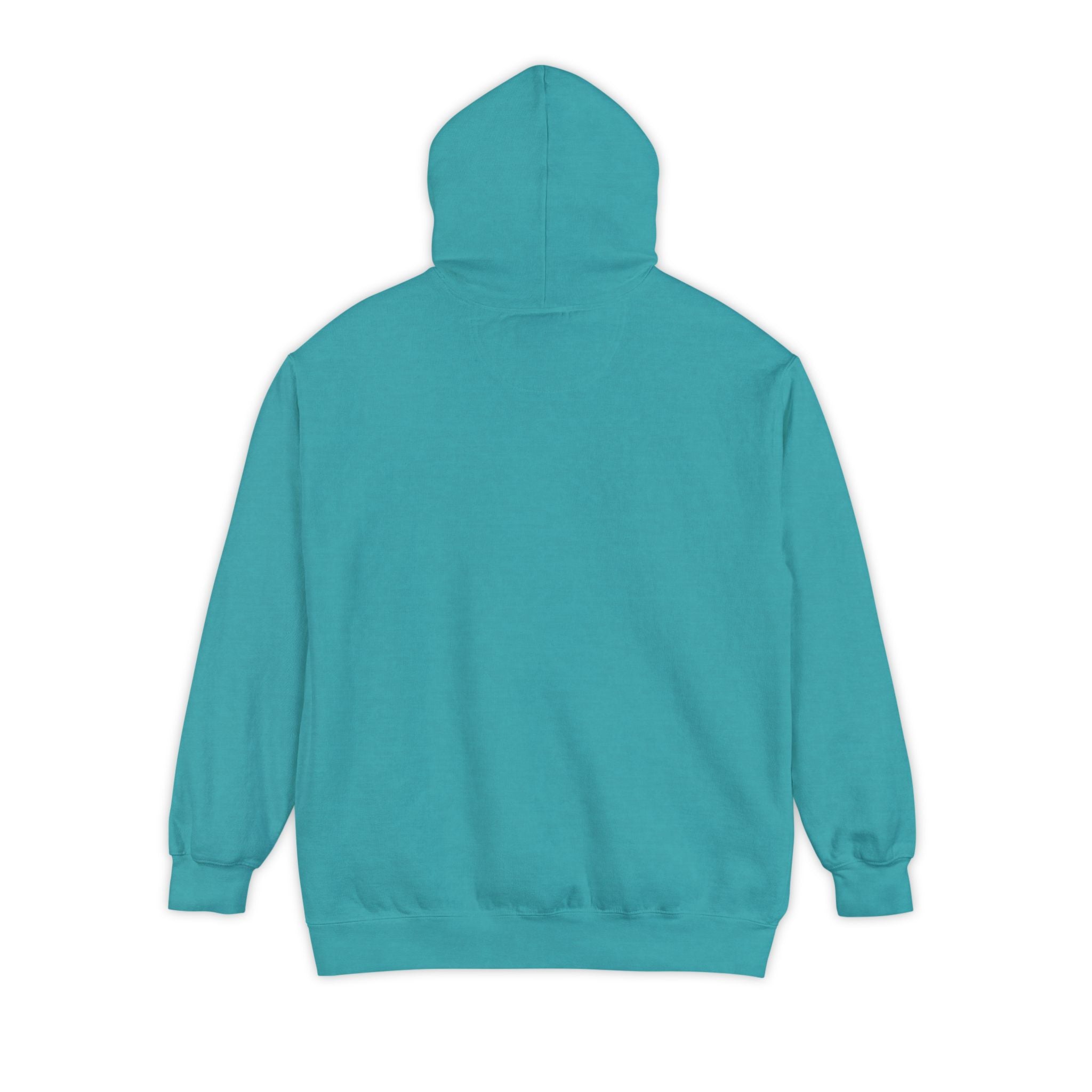 "HODL HODL . BTC University ." High Quaiity Comfort Colors Hoodie - Vintage Collegiate Garment- Dyed Pullover | Crypto Gift 53