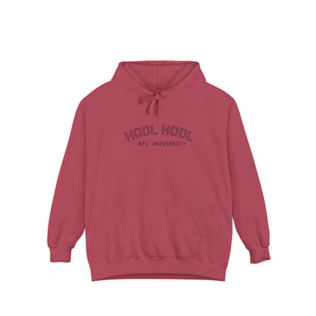 "HODL HODL . BTC University ." High Quaiity Comfort Colors Hoodie - Vintage Collegiate Garment- Dyed Pullover | Crypto Gift 53