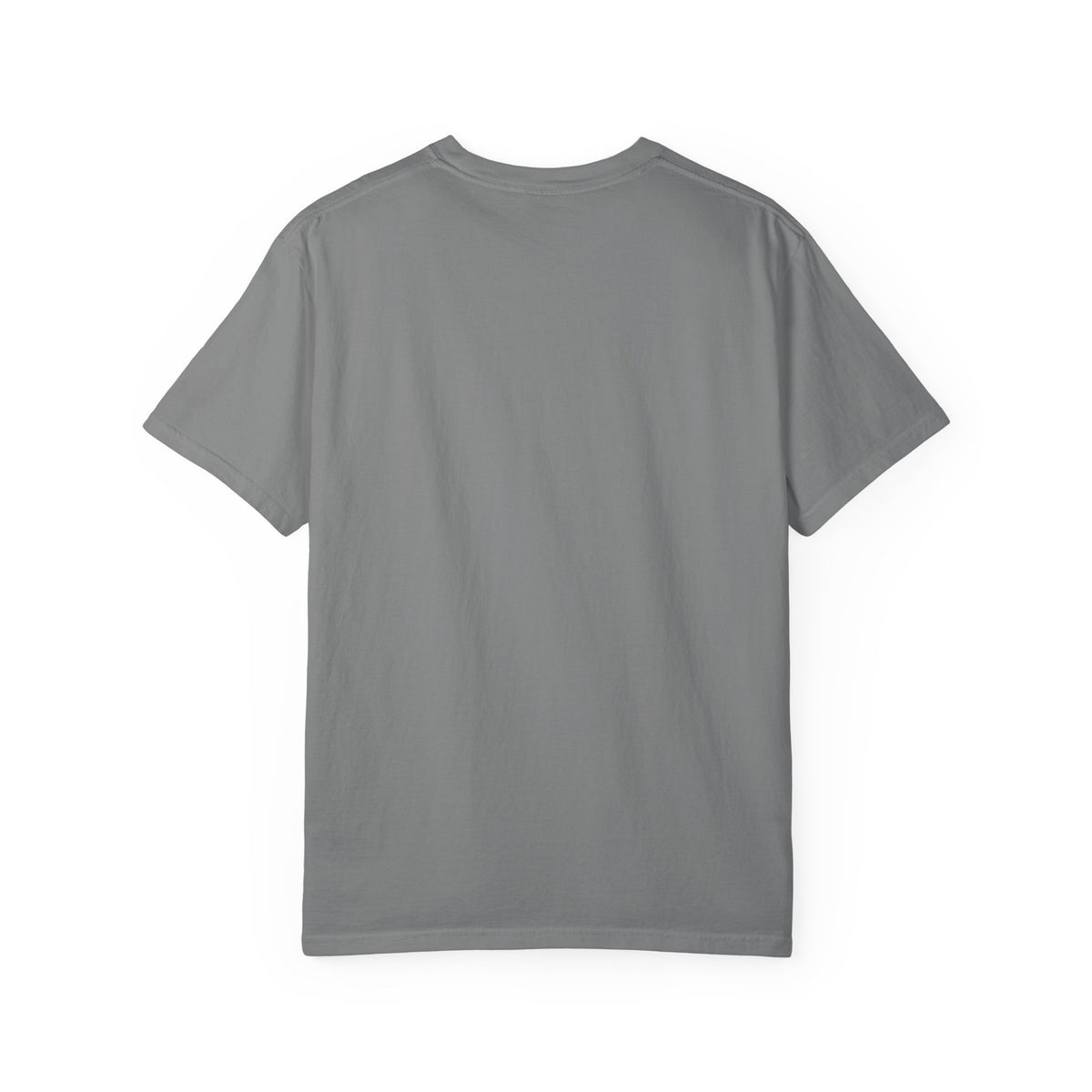 Bitcoin/CypherHornet "Boomer's for Bitcoin" | Comfy HQ Comfort Colors Custom Graphic T-Shirt | Crypto Gift #S100b