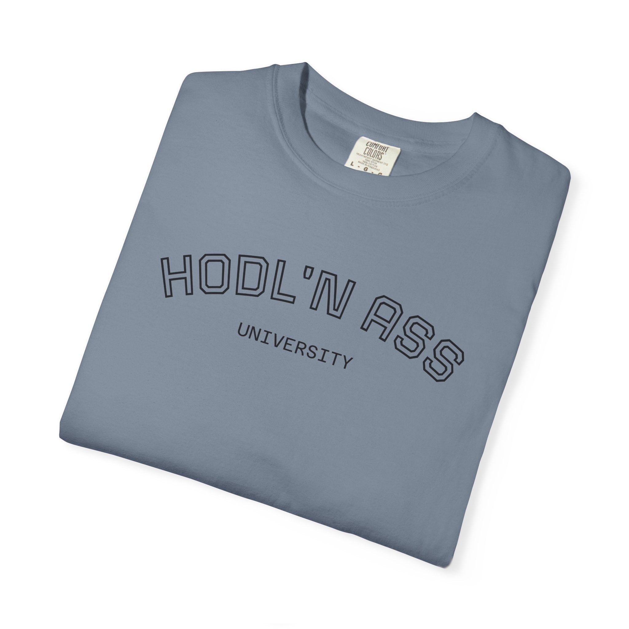 "HODL'N Ass" University BITCOIN Graphic T-Shirt — Vintage Collegiate Tee | Crypto Gift