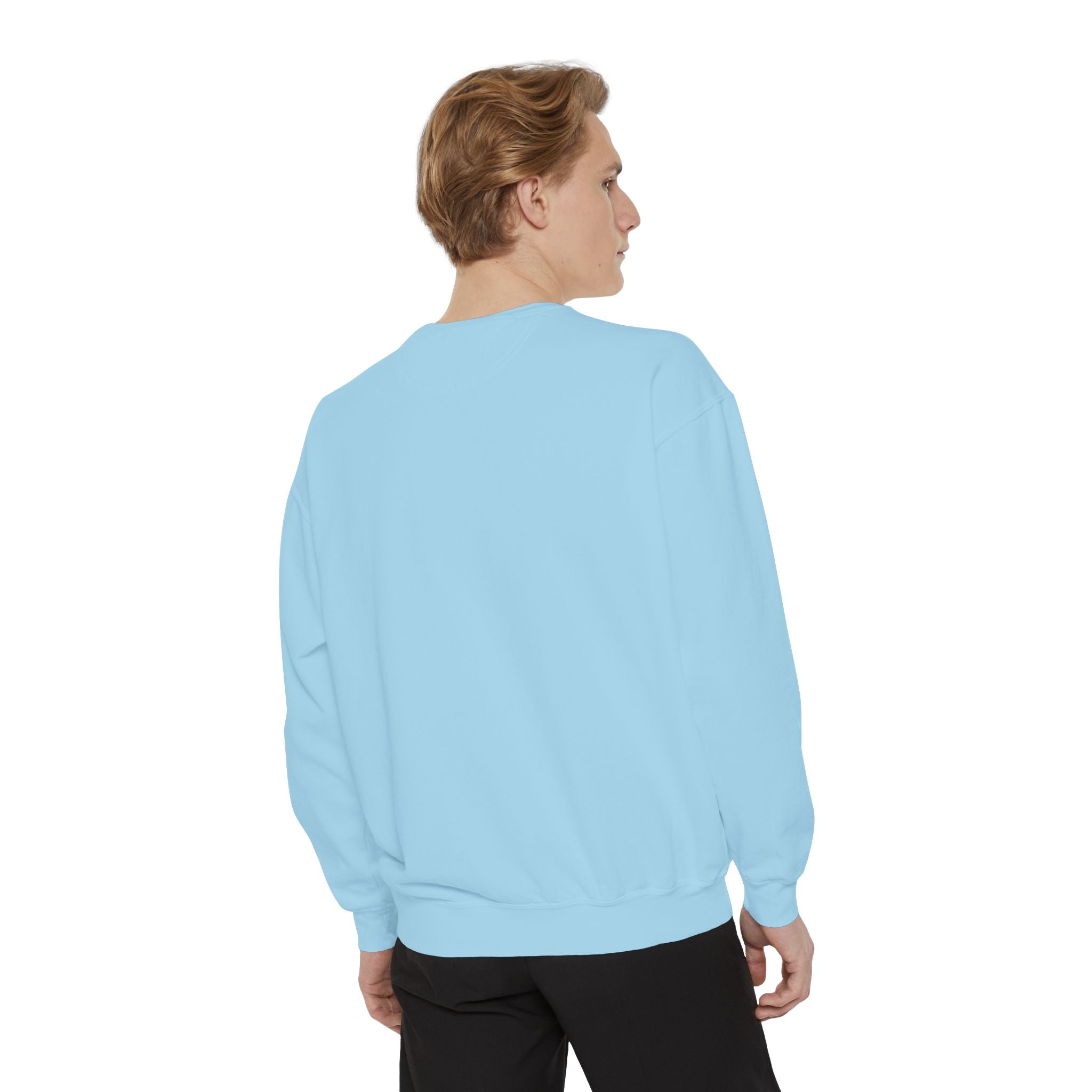 Bitcoin/CypherHornet - Bold Logo Graphic Sweatshirt — Super High Quality Comfort Color Crewneck | Crypto Gift 46